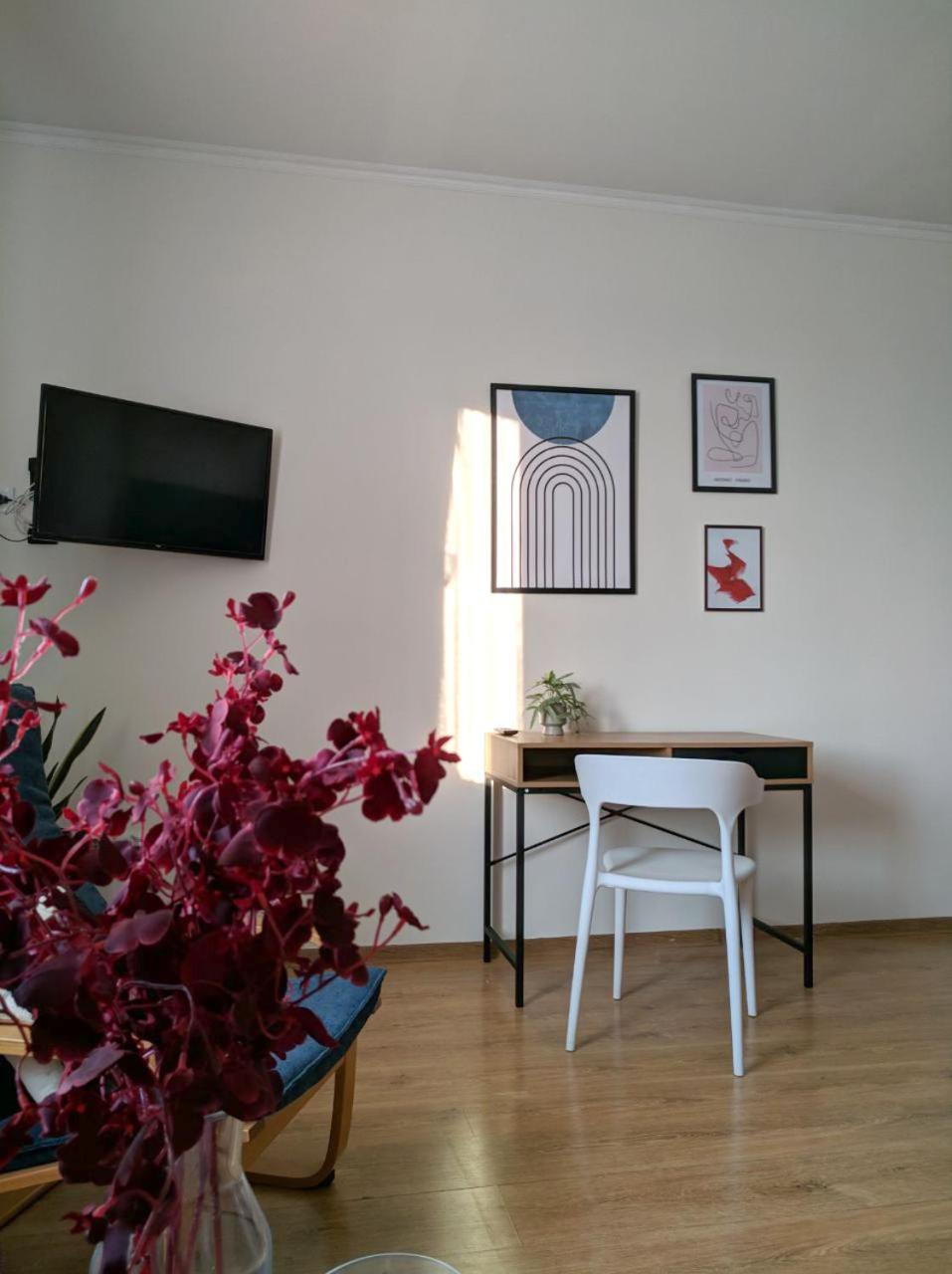 Best Apartment In The Center Μουκάτσεβο Εξωτερικό φωτογραφία